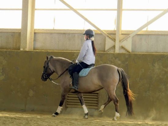 乗馬体験　緑豊かな高原で馬と触れ合おう＜一関市／送迎可＞