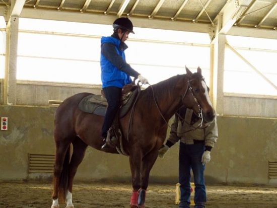 乗馬体験　緑豊かな高原で馬と触れ合おう＜一関市／送迎可＞