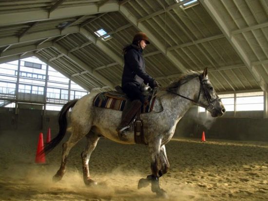 乗馬体験　緑豊かな高原で馬と触れ合おう＜一関市／送迎可＞