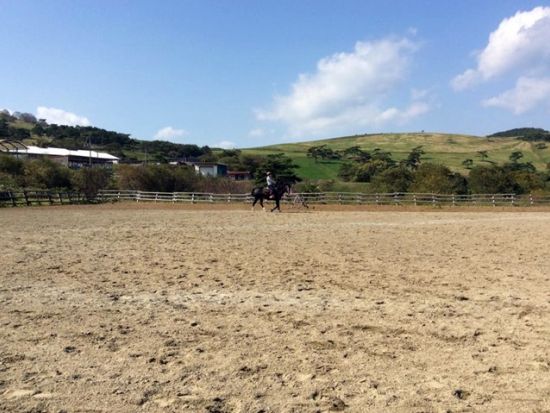 乗馬体験　緑豊かな高原で馬と触れ合おう＜一関市／送迎可＞