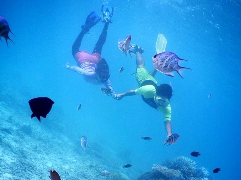 Snorkelers checking out an Okinawa reef