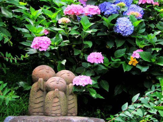 鎌倉観光タクシー　鶴岡八幡宮＋長谷寺＋小町通　古都鎌倉の名所を巡る＜1日／1～9名／横浜エリア送迎あり＞