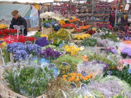 日本語ガイドとめぐる アムステルダム・ウォーキングツアー＜24時間乗り放題チケット付／日本語ガイド／アムステルダム発＞by H.I.S. 