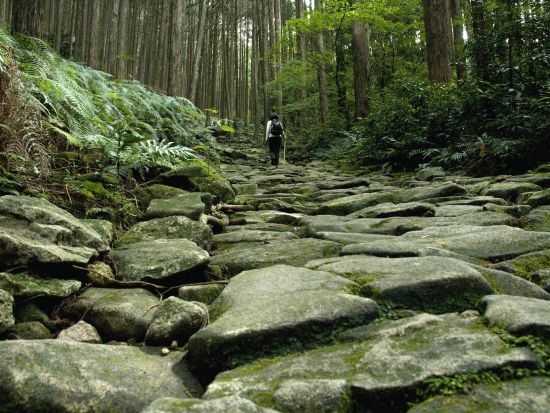 世界遺産 熊野古道・伊勢路 貸切エコツアー 地域で守る馬越峠の美しい石畳を巡礼者の想いを聞きながら歩く＜5時間／ご当地弁当付／尾鷲市＞byくまの体験企画 