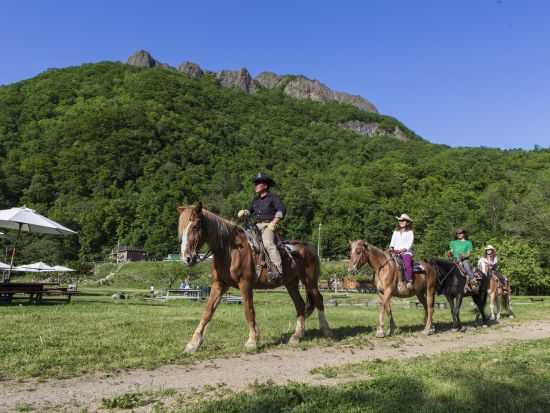 八剣山のふもとで乗馬体験 カウボーイの町「ワイルドムスタングス」でワイルドに馬に乗ろう！餌やり体験もできちゃう♪＜札幌発＞