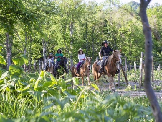 八剣山のふもとで乗馬体験 カウボーイの町「ワイルドムスタングス」でワイルドに馬に乗ろう！餌やり体験もできちゃう♪＜札幌発＞