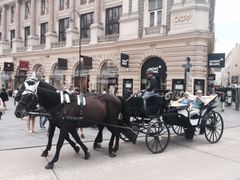 Tr00100420150731023151381