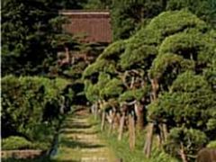 zenkoji