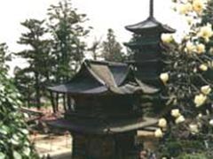 gojyu