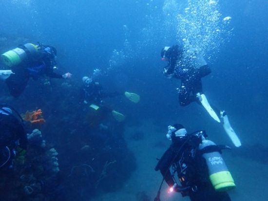 体験ダイビング 伊豆北川（ほっかわ） 海をのぞきたいけど不安な方でも信頼サポートで安心＜ビーチ／1ダイブ＞by ダイブ グリーン