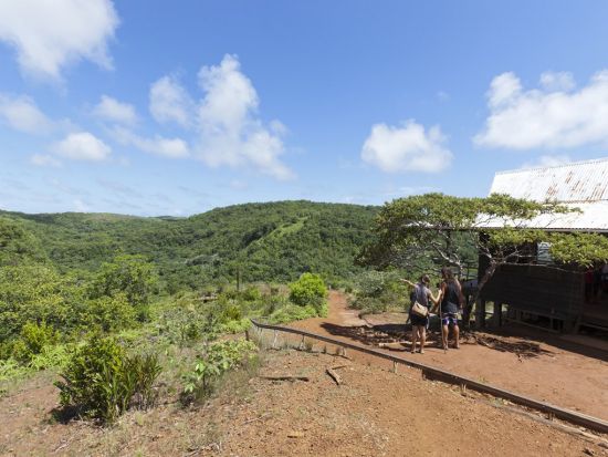 ガラスマオの滝＆ストーンモノリス1日ツアー　パラオ最大の滝を目指してジャングルトレッキング＜昼食／送迎付＞by Rock Island Tour Company