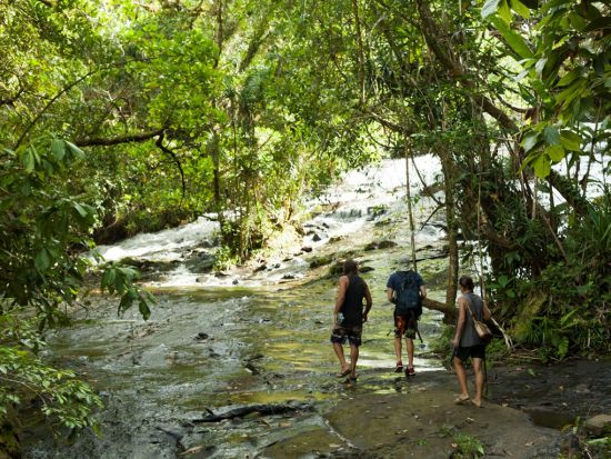 ガラスマオの滝＆ストーンモノリス1日ツアー　パラオ最大の滝を目指してジャングルトレッキング＜昼食／送迎付＞by Rock Island Tour Company