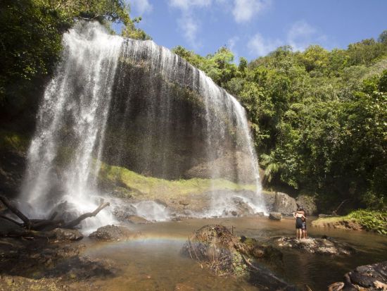 ガラスマオの滝＆ストーンモノリス1日ツアー　パラオ最大の滝を目指してジャングルトレッキング＜昼食／送迎付＞by Rock Island Tour Company
