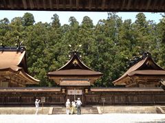 honguutaisya