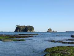 taijima