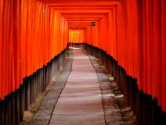 Torii gates at Fushimi Inari Shrine Kyoto
