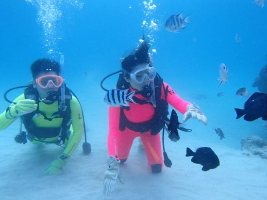 体験ダイビング（本部町） 4種のクマノミに会いに行こう！足の届くところからエントリーできるビーチダイブ by 美ら海ダイビングセンター