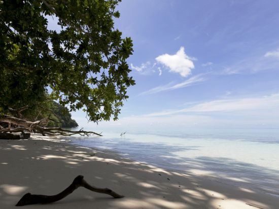 レンタカー予約サービス　選べる車種（コンパクト／セダン） ＜1日／ホテル配車・乗捨て無料＞by べラウツアー