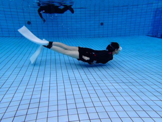 シュノーケル＆スキンダイビングスクール イルカと泳ぐためのレッスン 初心者向け＜1日／浦安市＞by True North