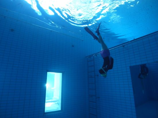 シュノーケル＆スキンダイビングスクール イルカと泳ぐためのレッスン 初心者向け＜1日／浦安市＞by True North