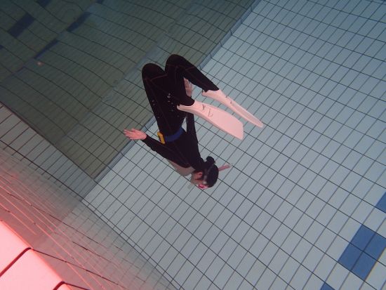 シュノーケル＆スキンダイビングスクール イルカと泳ぐためのレッスン 初心者向け＜1日／浦安市＞by True North