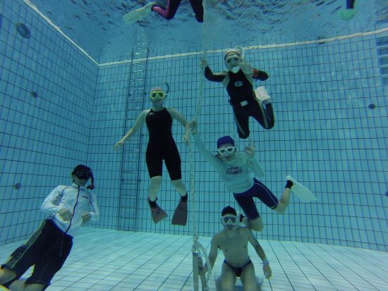 シュノーケル＆スキンダイビングスクール イルカと泳ぐためのレッスン 初心者向け＜1日／浦安市＞by True North