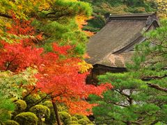 百濟寺