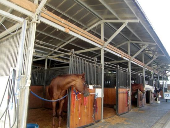 乗馬体験　5歳から1人乗りOKのミニ遠乗りプラン　＜選べる開始時間／宗像市＞ by カナディアンキャンプ乗馬クラブ