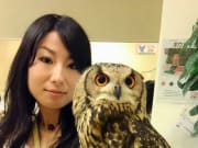 Japanese woman holding a large owl at a cafe