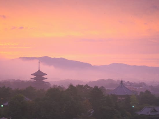 興福寺（遠望）