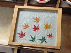 washi24