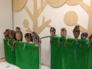 Many owls waiting to meet you at an owl cafe