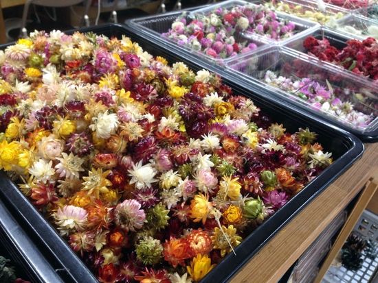 ドライフラワーアレンジ体験 自家栽培した花や木の実を使って四季を感じる作品作りに挑戦 10歳から参加可 1時間 たくみの里 ドライフラワーの家 みなかみ 水上 みなかみ 猿ヶ京 法師の観光 遊び 体験 レジャー専門予約サイト Veltra ベルトラ ドライフラワーアレンジ体験 自家栽培した花や木の実を使って四季を感じる作品作りに挑戦 10歳から参加可 1時間 たくみの里 ドライフラワーの家 みなかみ 水上 みなかみ 猿ヶ京 法師の観光 遊び 体験 レジャー専門予約サイト Veltra ベルトラ
