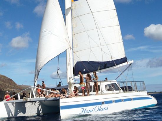 ホエールウォッチ＋ダイヤモンドヘッド日の出ハイキング＜ワイキキ送迎可／11/15～3/31＞