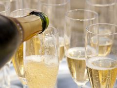 champagne tasting