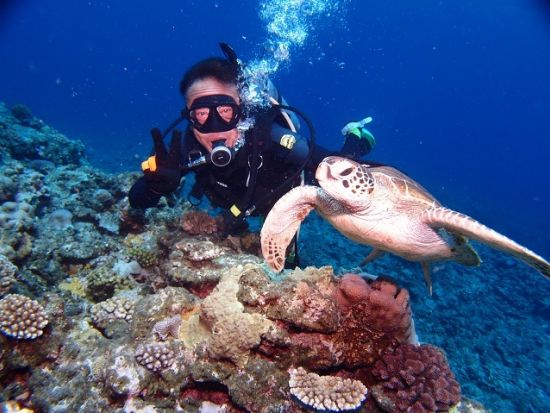 慶良間ファンダイビング 海を知り尽くした老舗のガイディングで慶良間ブルーへご案内 1名参加OK！ ＜1日／2ダイブ／那覇市内送迎無料＞