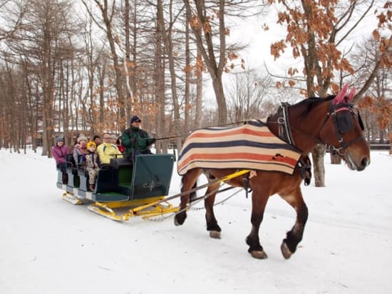 Winter horse drawn sleigh ride in Hokkaido