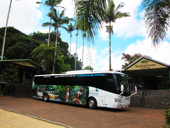 Tropic Wings Coach at Rainforestation Nature Park