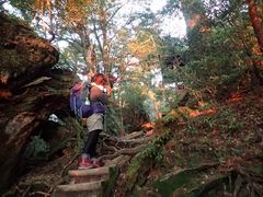 縄文杉3