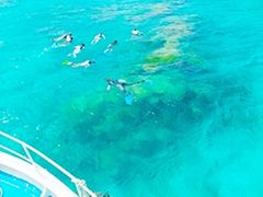 DSCF0252