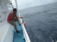 2010_11020207