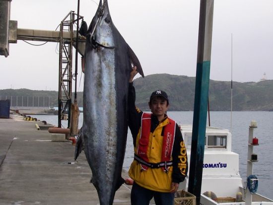 カジキ釣り体験　船をチャーターして大物狙いの本格釣り！＜半日または1日／与那国島＞