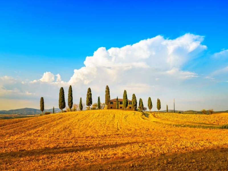 Tuscany, Day Tour from Rome
