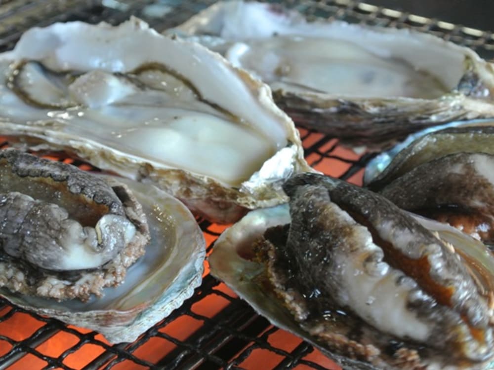 南総グルメな旅 焼き牡蠣 あわび焼食べ放題付バスツアー 読売旅行 東京発 千葉の観光 遊び 体験 レジャー専門予約サイト Veltra ベルトラ