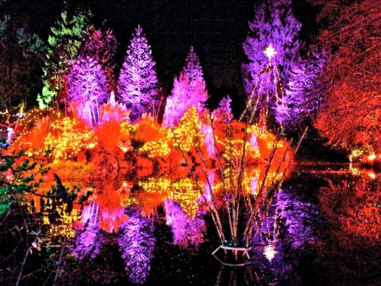 19 12 1 1 5限定 バンデューセン植物園 100万個のイルミネーションが輝くクリスマスライトアップ 1名様から催行 日本語ガイド バンクーバーの観光 オプショナルツアー専門 Veltra ベルトラ 19 12 1 1 5限定 バンデューセン植物園 100万個のイルミネーションが輝くクリスマスライトアップ 1名様から催行 日本語ガイド バンクーバーの観光 オプショナルツアー専門 Veltra ベルトラ