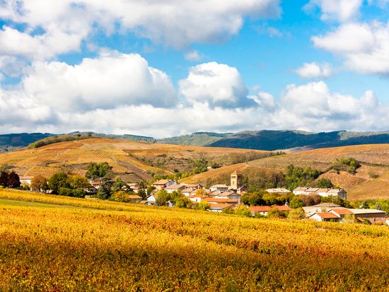 ヴォーアンボジョレー