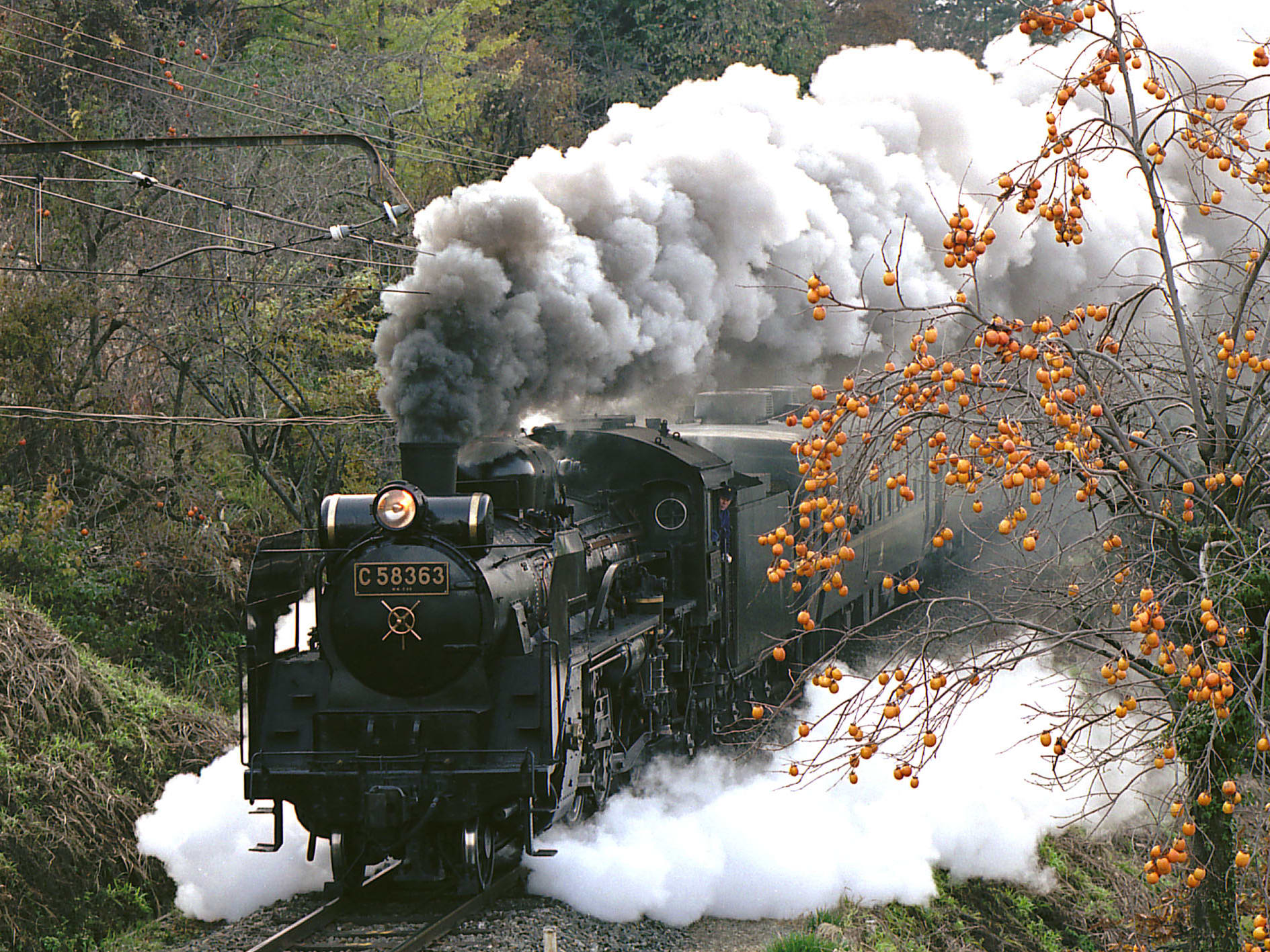 錦秋の秩父路 紅葉の秩父SL列車と長瀞・岩畳 & こだわり食材のランチ