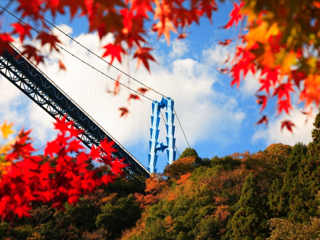 紅葉の日本三名瀑 袋田の滝と竜神大吊橋 選べるお弁当付き 読売旅行 東京発 茨城の観光 遊び 体験 レジャー専門予約サイト Veltra ベルトラ