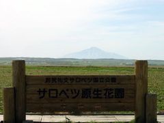 IMG_1809