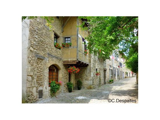 中世の村ペルージュ＆最高級鶏の産地ブールカン・ブレス 観光ツアー＜終日／車貸切／現地語ドライバー／リヨン発＞